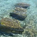 Golfe De Saint Tropez Terrasses De Sylvabelle Gigaro ラ・クロワ・ヴァルメ