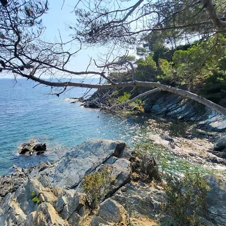 Golfe De Saint Tropez Terrasses De Sylvabelle Gigaro Apartamento La Croix-Valmer