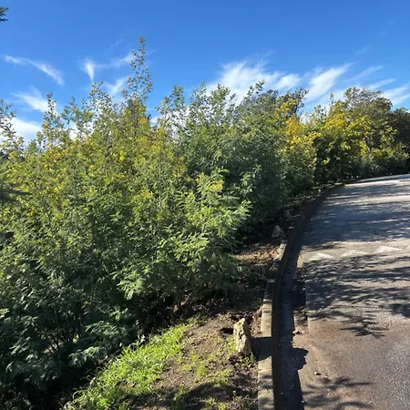 Daire Golfe De Saint Tropez Terrasses De Sylvabelle Gigaro *