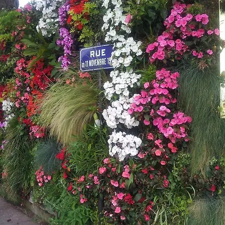 Golfe De Saint Tropez Terrasses De Sylvabelle Gigaro